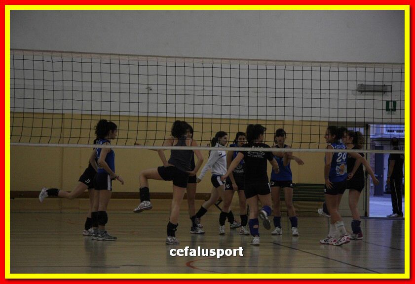 150508_Primula 013_tn.jpg